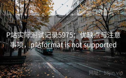P站实际测试记录5975：优缺点与注意事项，p站format is not supported