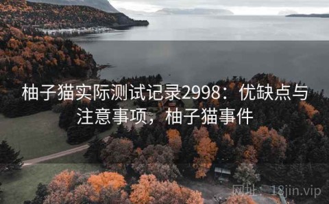 柚子猫实际测试记录2998：优缺点与注意事项，柚子猫事件
