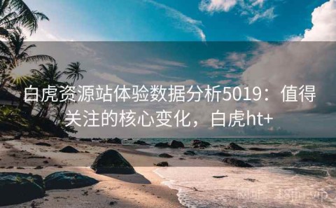 白虎资源站体验数据分析5019：值得关注的核心变化，白虎ht+