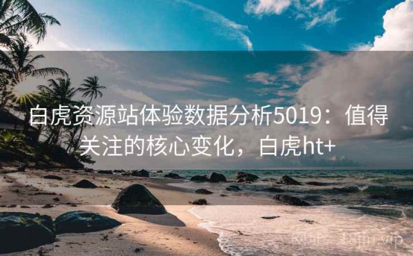 白虎资源站体验数据分析5019：值得关注的核心变化，白虎ht+