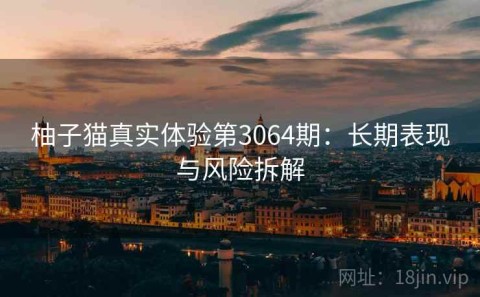 柚子猫真实体验第3064期：长期表现与风险拆解