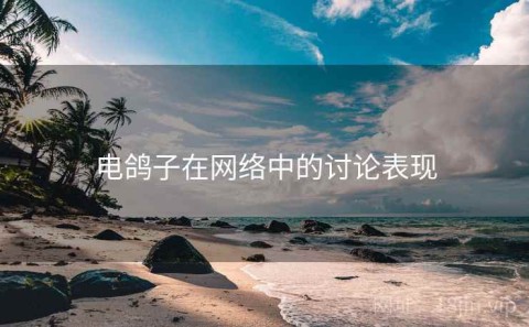 电鸽子在网络中的讨论表现