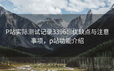 P站实际测试记录3396：优缺点与注意事项，p站功能介绍
