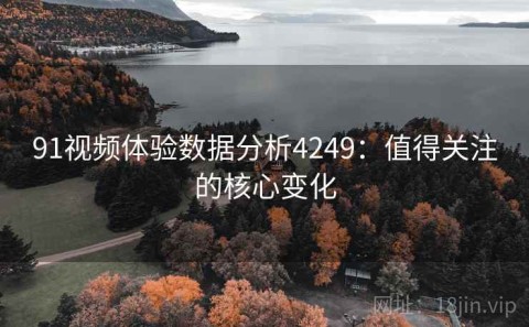 91视频体验数据分析4249：值得关注的核心变化