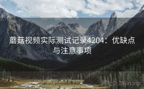 蘑菇视频实际测试记录4204：优缺点与注意事项