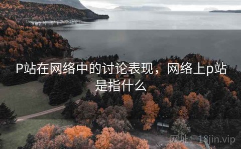 P站在网络中的讨论表现，网络上p站是指什么