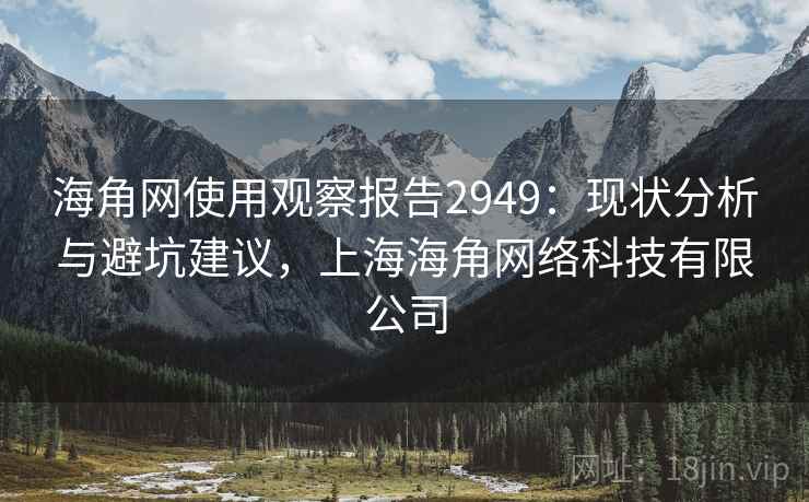 海角网使用观察报告2949:现状分析与避坑建议,上海海角网络科技有限公司 海角网使用观察报告2949:现状分析与避坑建议,上海海角网络科技有限公司