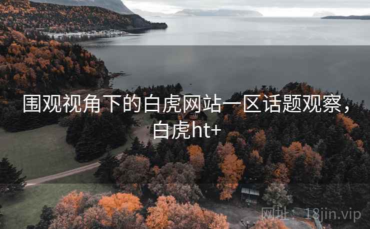围观视角下的白虎网站一区话题观察，白虎ht+